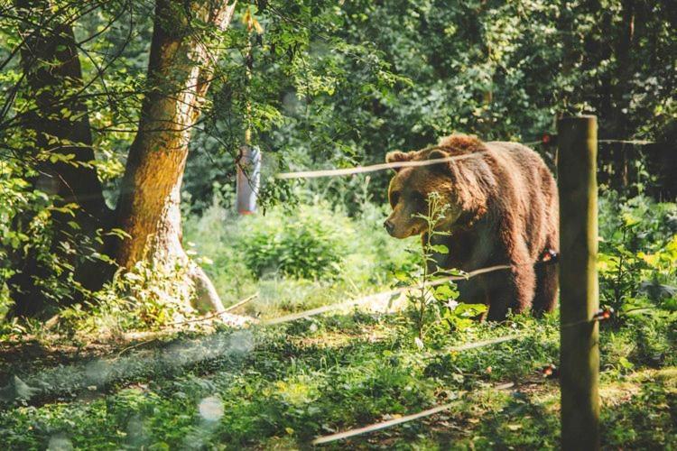 Seeblick Stuer Екстериор снимка
